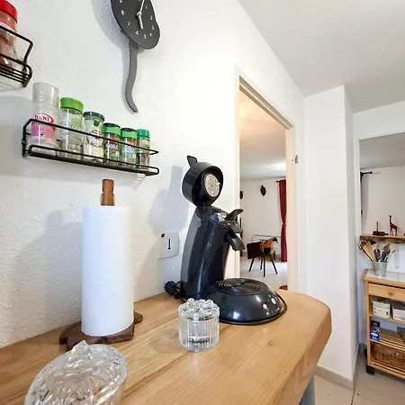 L'oasis Urbain - Charme Unique Et Piscine * Foix