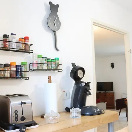 Apartamento L'oasis Urbain - Charme Unique Et Piscine Foix